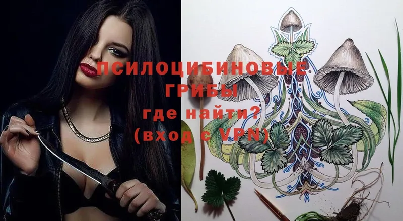 Галлюциногенные грибы Magic Shrooms  Кудымкар 